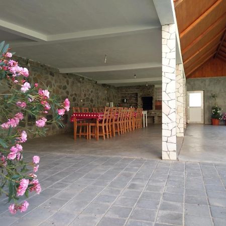 Pensiunea Tiuta Corbeni Exterior foto