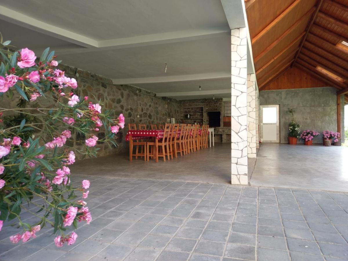 Pensiunea Tiuta Corbeni Exterior foto