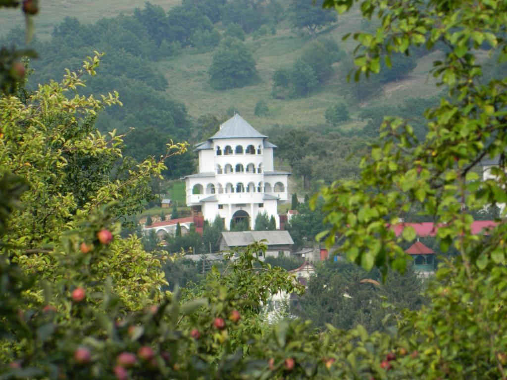 Pensiunea Tiuta Corbeni Exterior foto