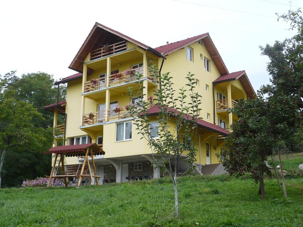 Pensiunea Tiuta Corbeni Exterior foto