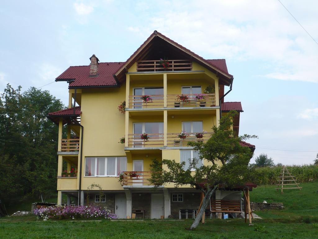 Pensiunea Tiuta Corbeni Exterior foto