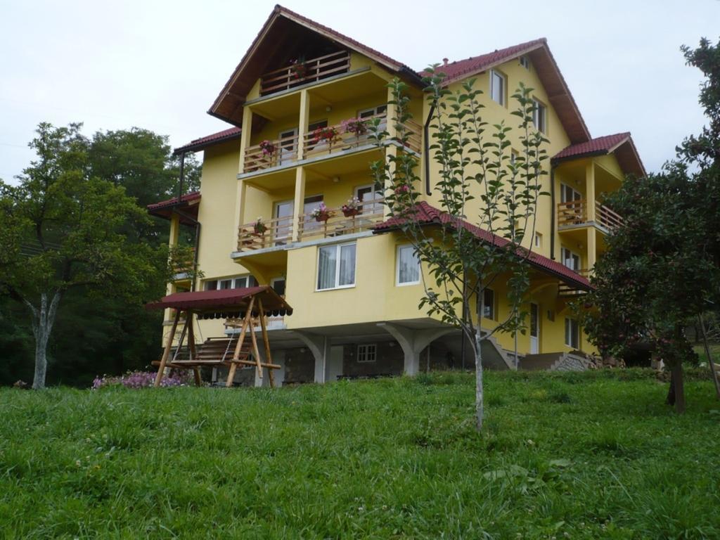 Pensiunea Tiuta Corbeni Exterior foto